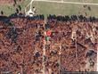  wheatland,  MO 65779