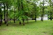 21377 dogwood ln, wheatland,  MO 65779