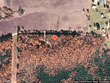 23175 county road 181, wheatland,  MO 65779