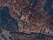 12994 county road 153, wheatland,  MO 65779